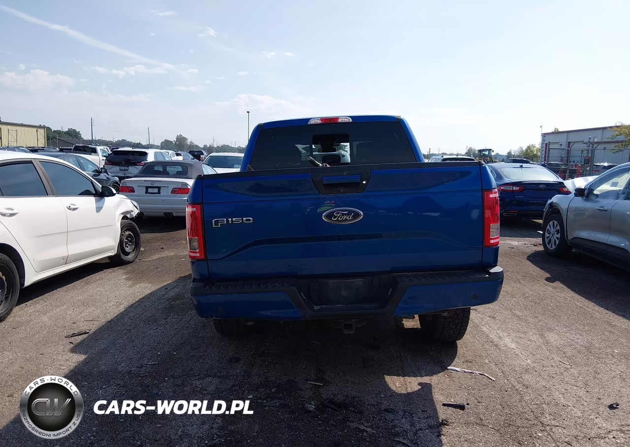 2017 Ford F-150 Xlt VIN:1FTEW1EP9HFA84988 - 16