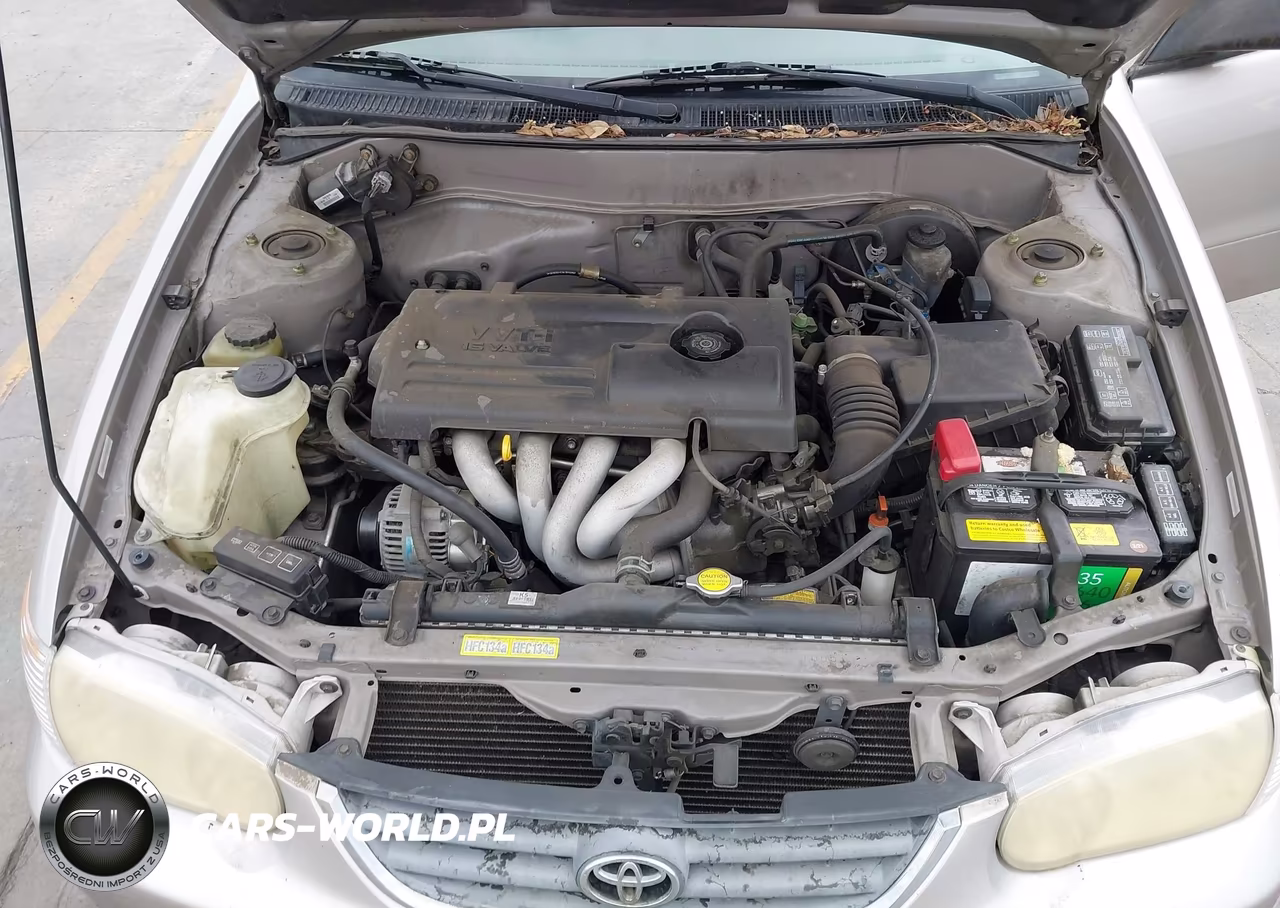 2001 Toyota Corolla Ce VIN:1NXBR12E21Z499967 - 10