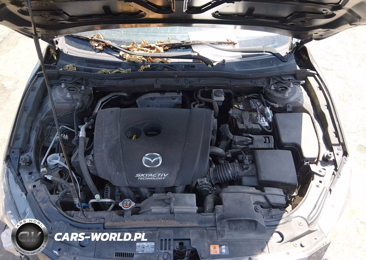 2014 Mazda Mazda3 I Sport VIN:JM1BM1U7XE1148765 - 10