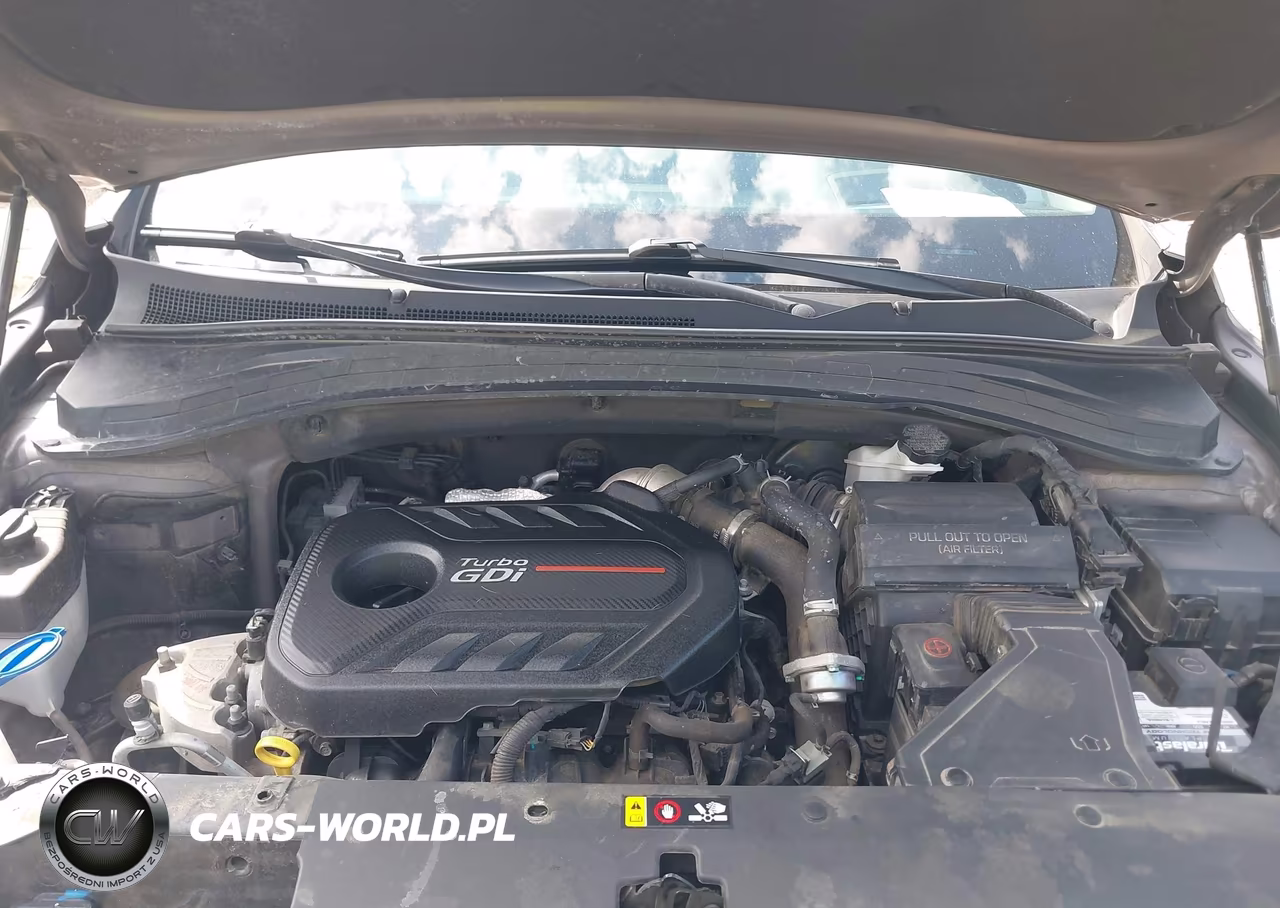 2020 Hyundai Santa Fe Limited 2.0T VIN:5NMS5CAA0LH267338 - 10