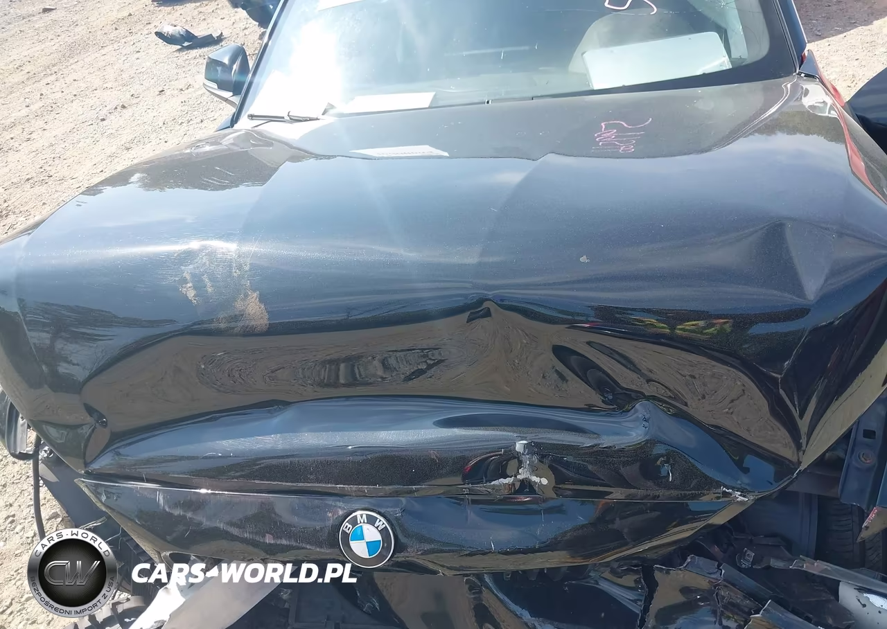 2016 BMW 228I xDrive VIN:WBA1G9C59GV599566 - 10