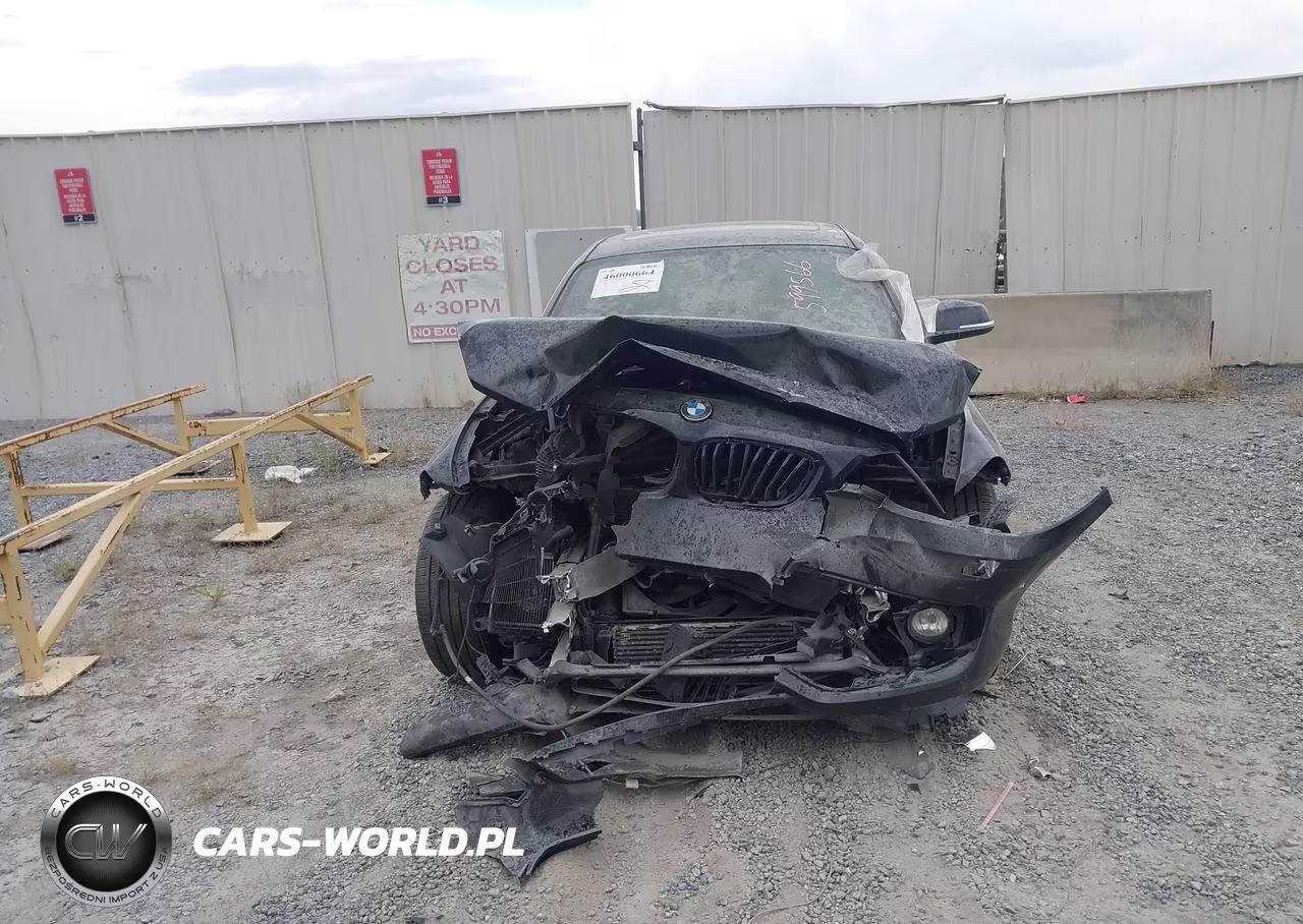 2016 BMW 228I xDrive VIN:WBA1G9C59GV599566 - 12