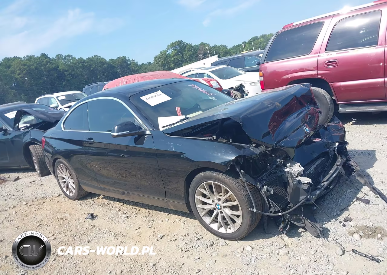 2016 BMW 228I xDrive VIN:WBA1G9C59GV599566 - 13