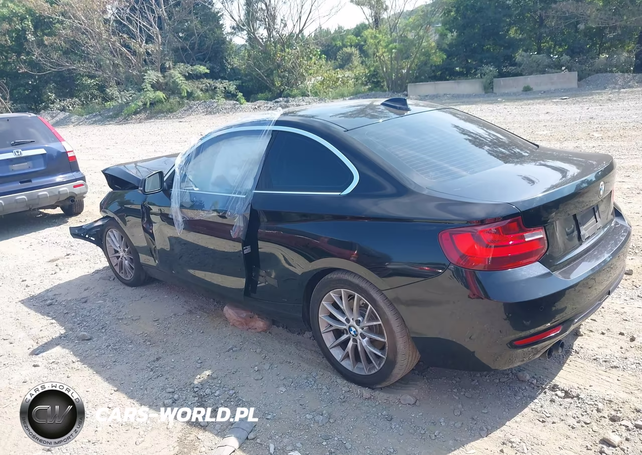 2016 BMW 228I xDrive VIN:WBA1G9C59GV599566 - 14