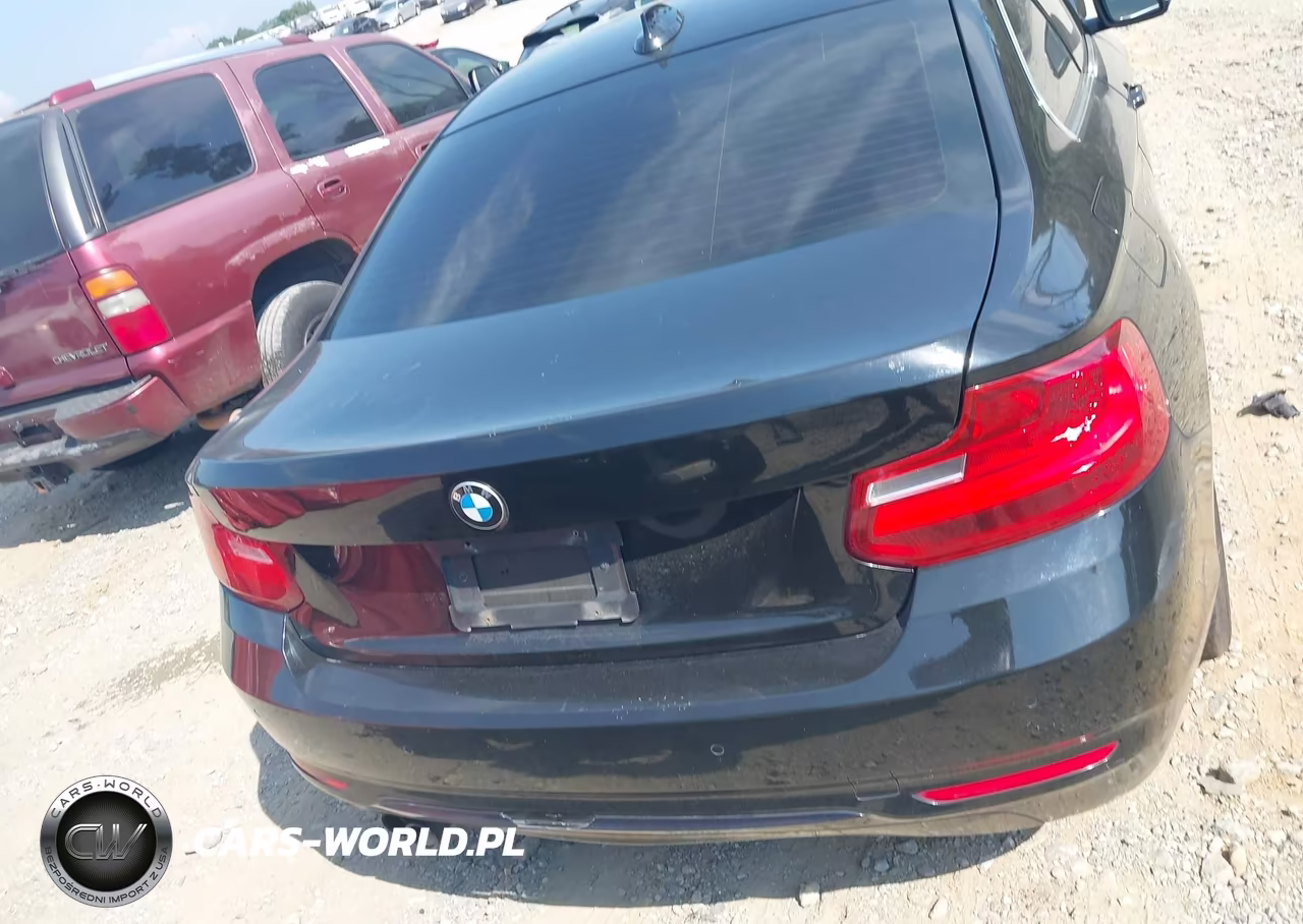 2016 BMW 228I xDrive VIN:WBA1G9C59GV599566 - 16