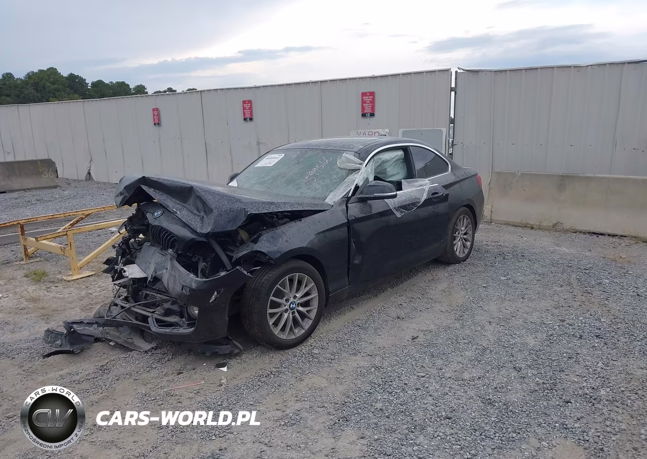2016 BMW 228I xDrive VIN:WBA1G9C59GV599566 - 2