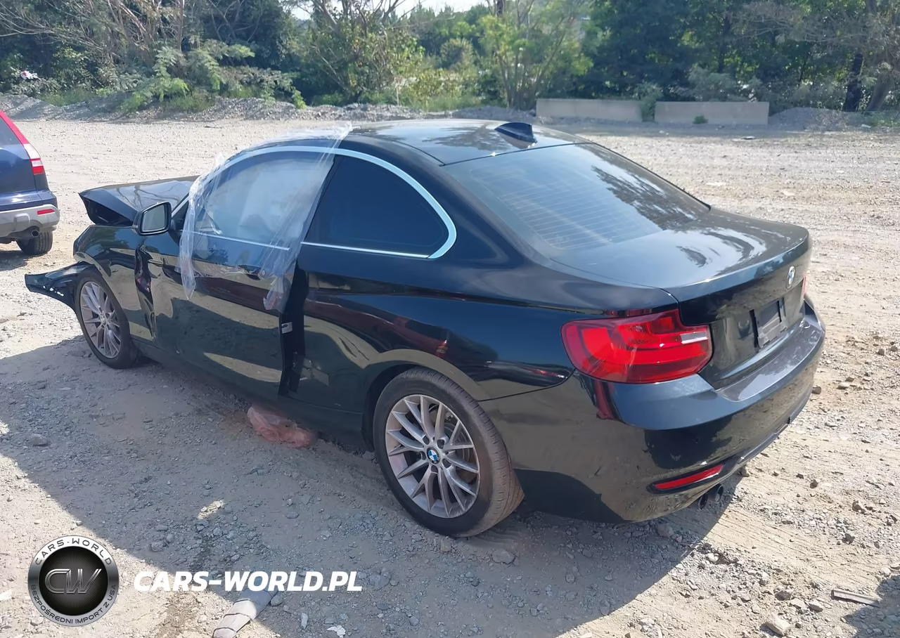 2016 BMW 228I xDrive VIN:WBA1G9C59GV599566 - 3