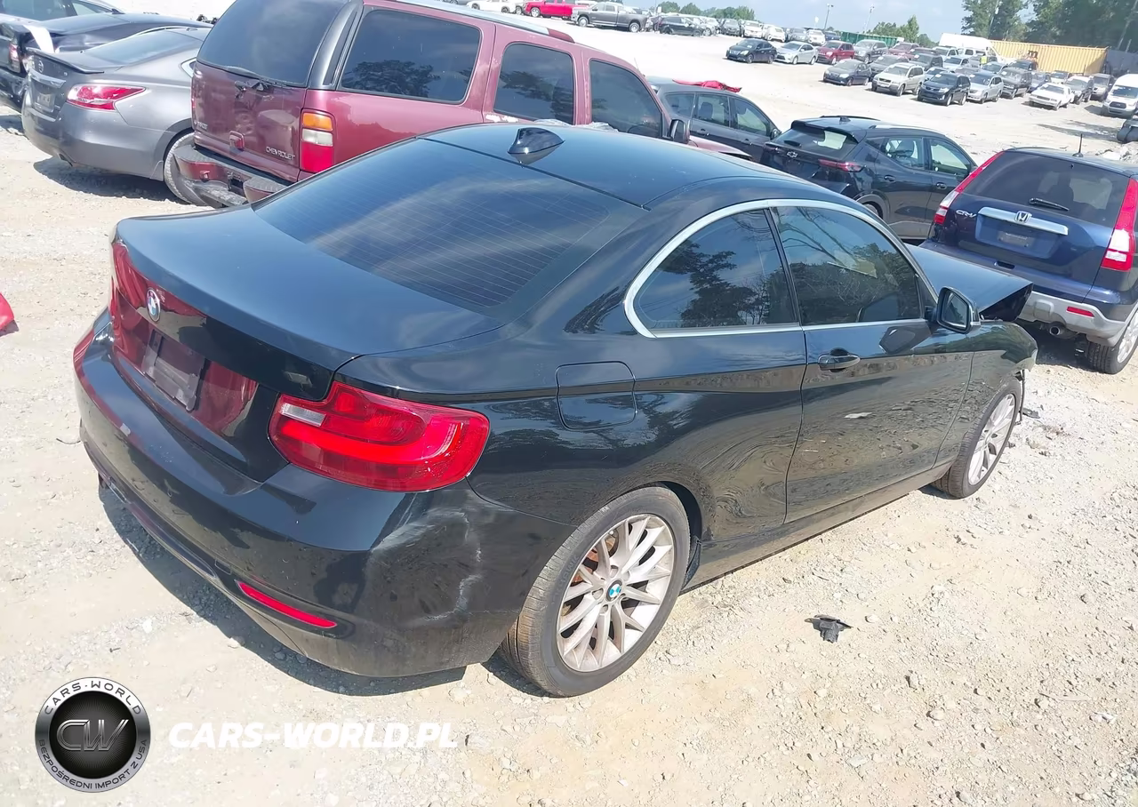 2016 BMW 228I xDrive VIN:WBA1G9C59GV599566 - 4