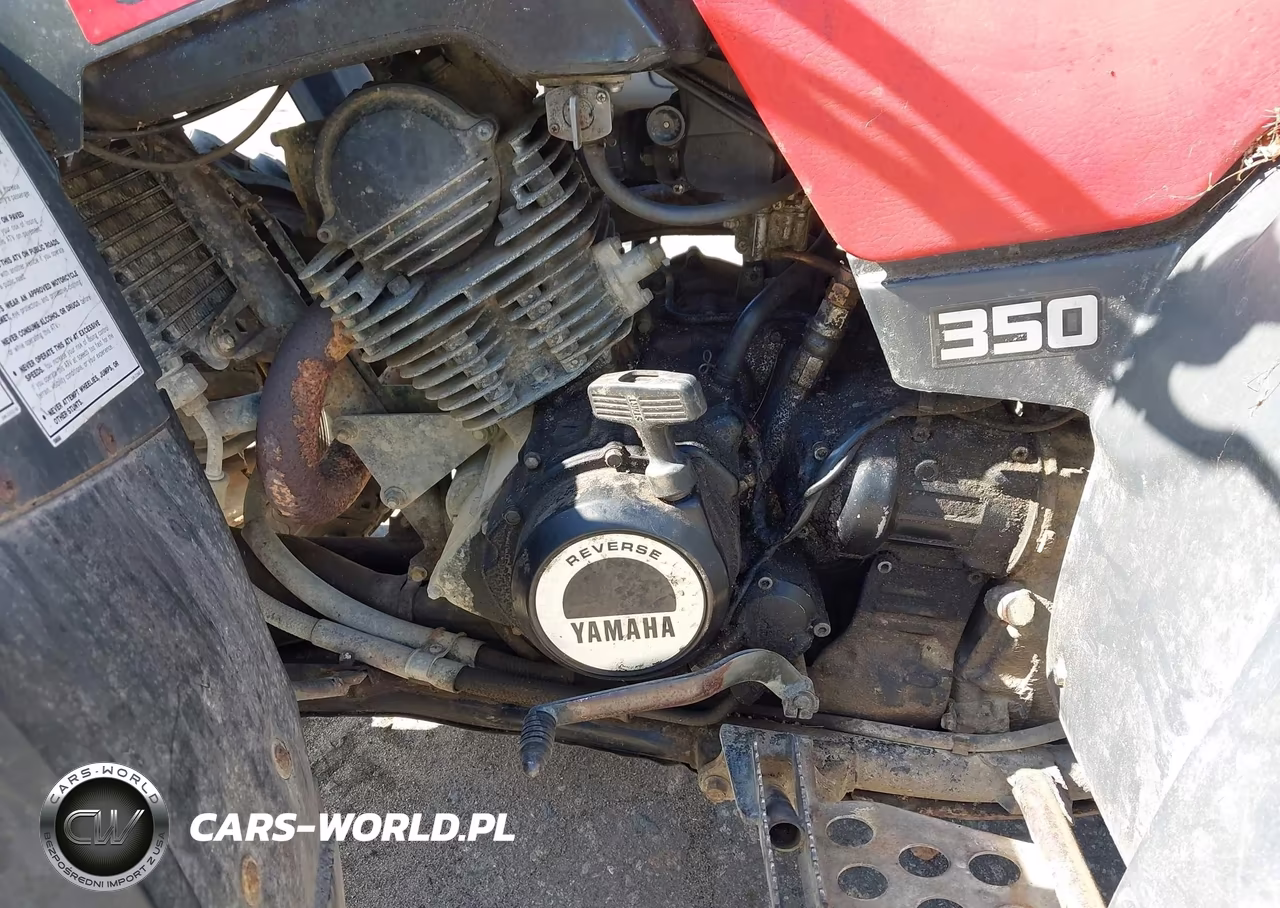 1990 Yamaha Yfm350 Fw VIN:JY43HNW00L0028314 - 9