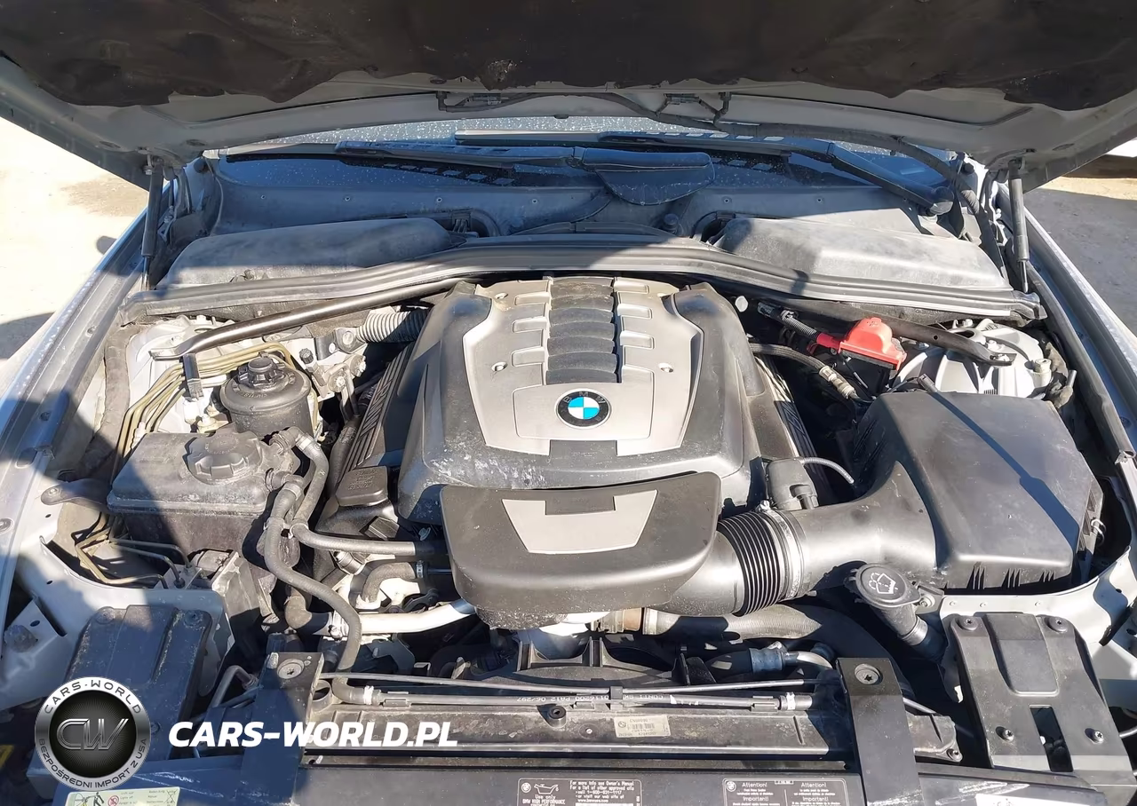 2007 BMW 650I VIN:WBAEK13587CN80990 - 10
