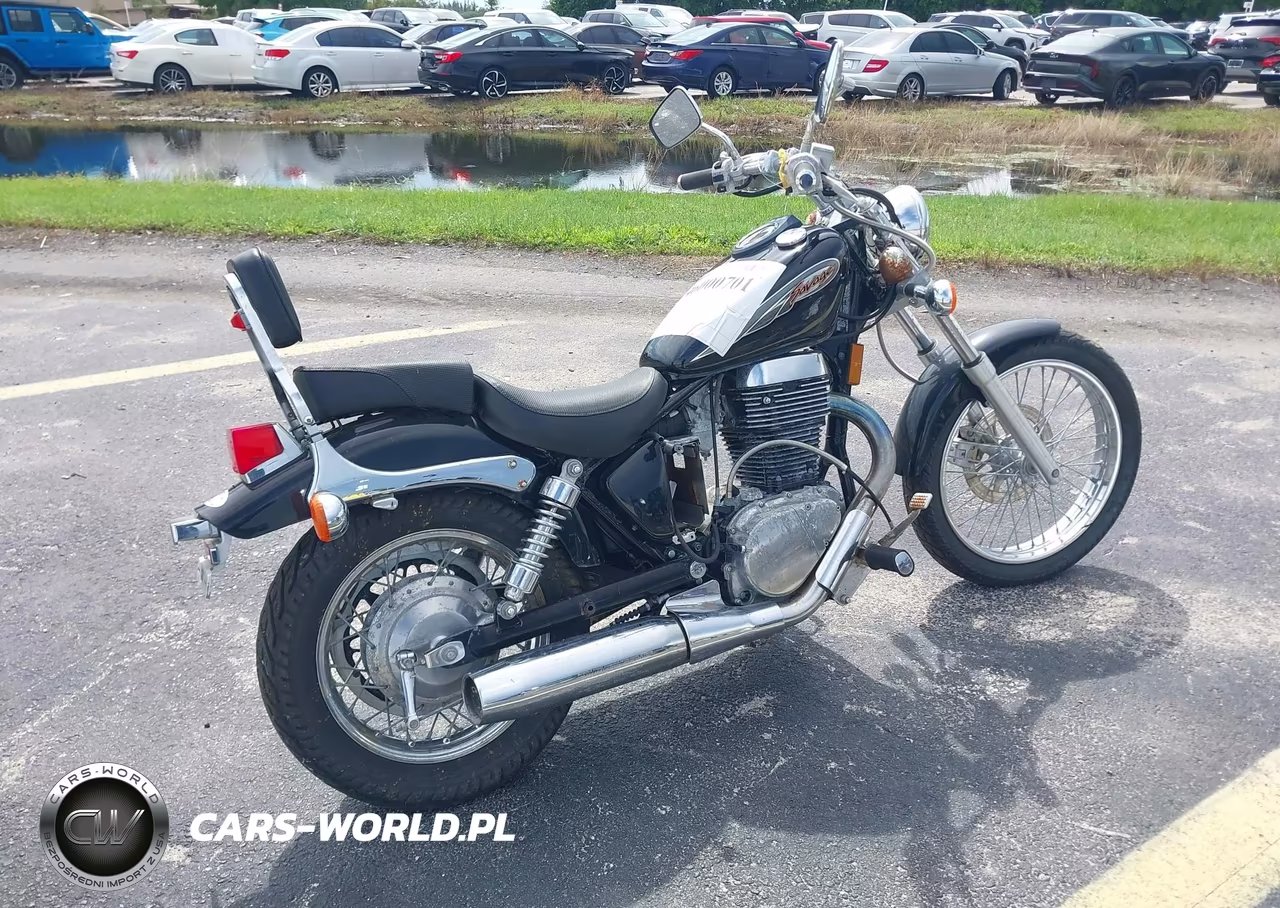2003 Suzuki Ls650 P VIN:JS1NP41A732100566 - 4