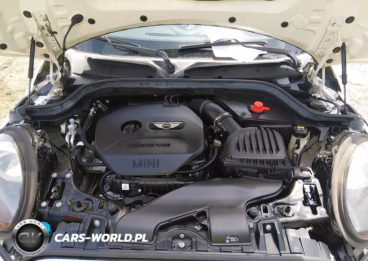 2019 Mini Hardtop Cooper VIN:WMWXP5C57K2H95537 - 10