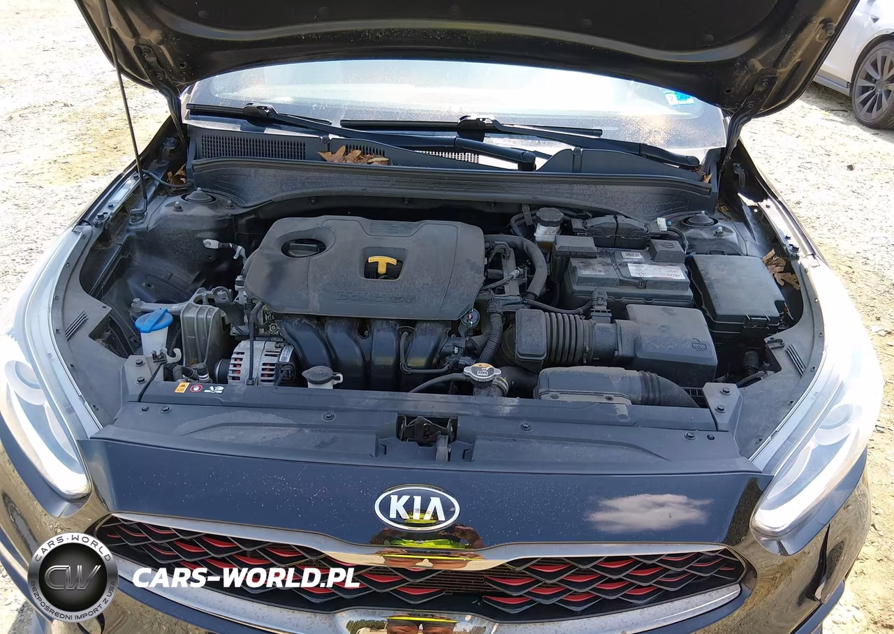 2021 Kia Forte Gt-Line VIN:3KPF34AD8ME294173 - 10