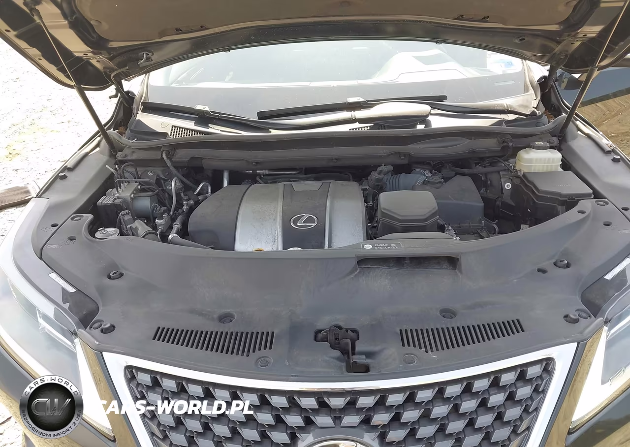 2021 Lexus Rx 350 VIN:JTJHZMDA5M2052007 - 10