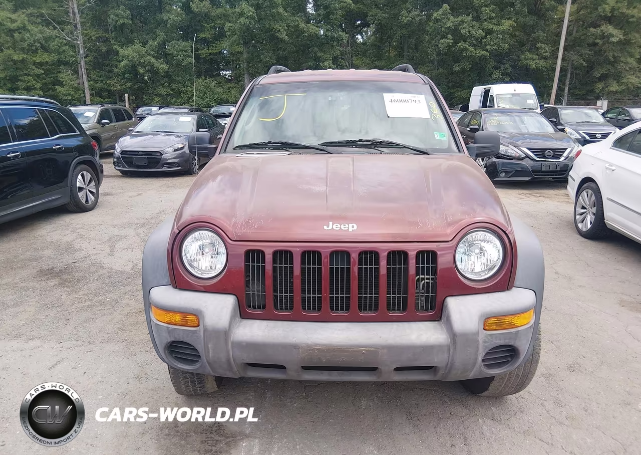 2002 Jeep Liberty Sport VIN:1J4GK48K82W358334 - 11