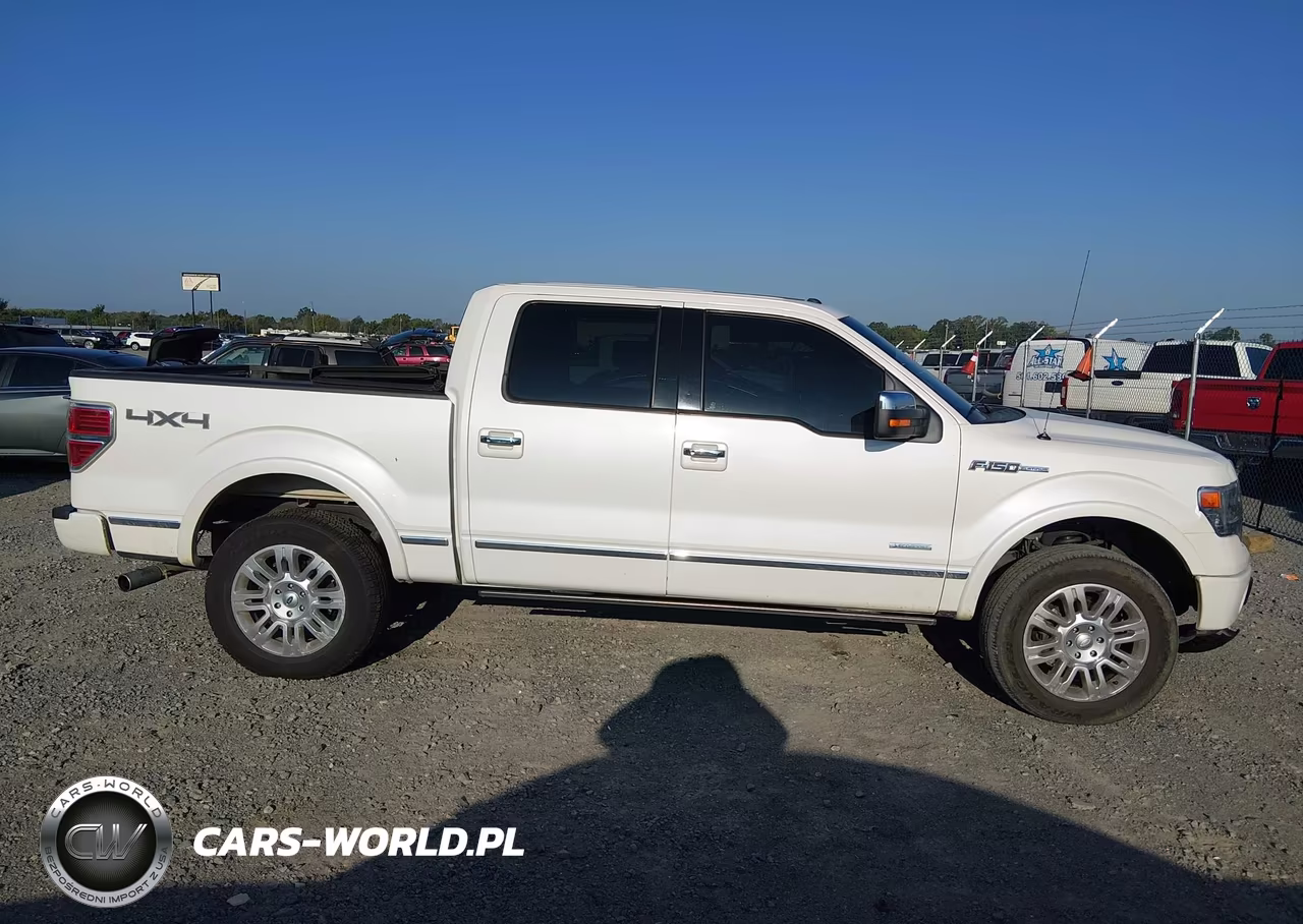 2013 Ford F-150 Platinum VIN:1FTFW1ET5DFA27148 - 13