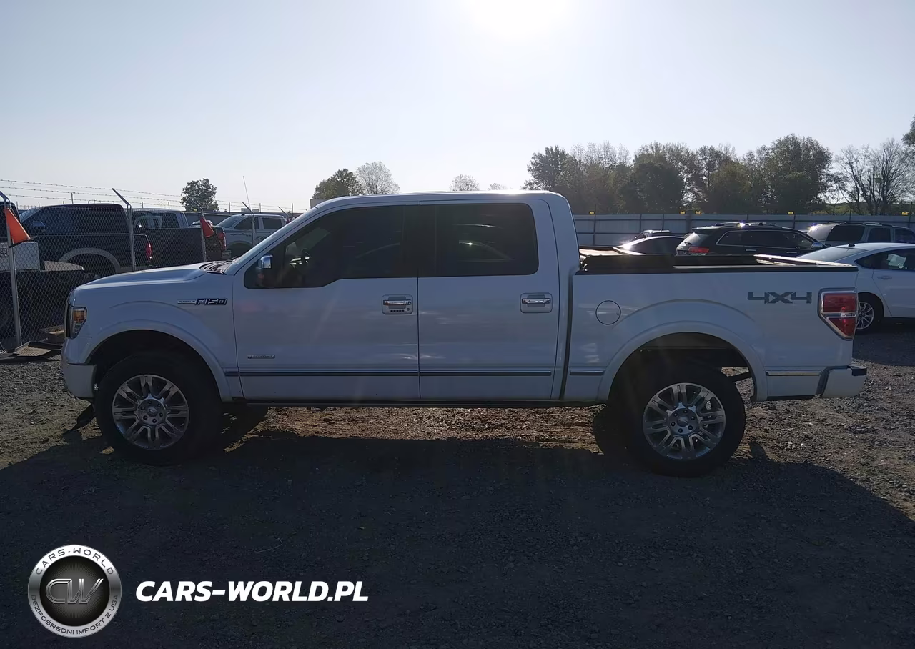 2013 Ford F-150 Platinum VIN:1FTFW1ET5DFA27148 - 14