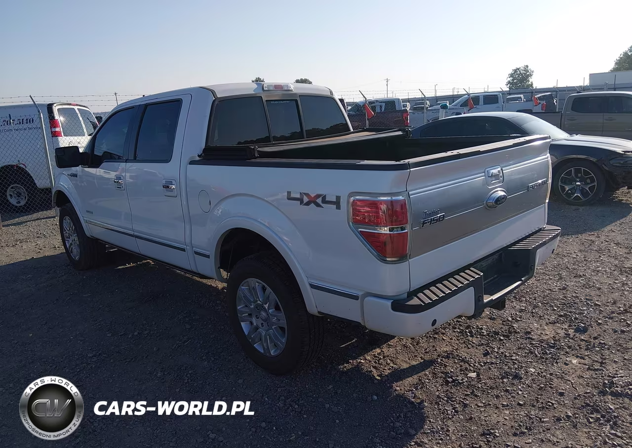 2013 Ford F-150 Platinum VIN:1FTFW1ET5DFA27148 - 3