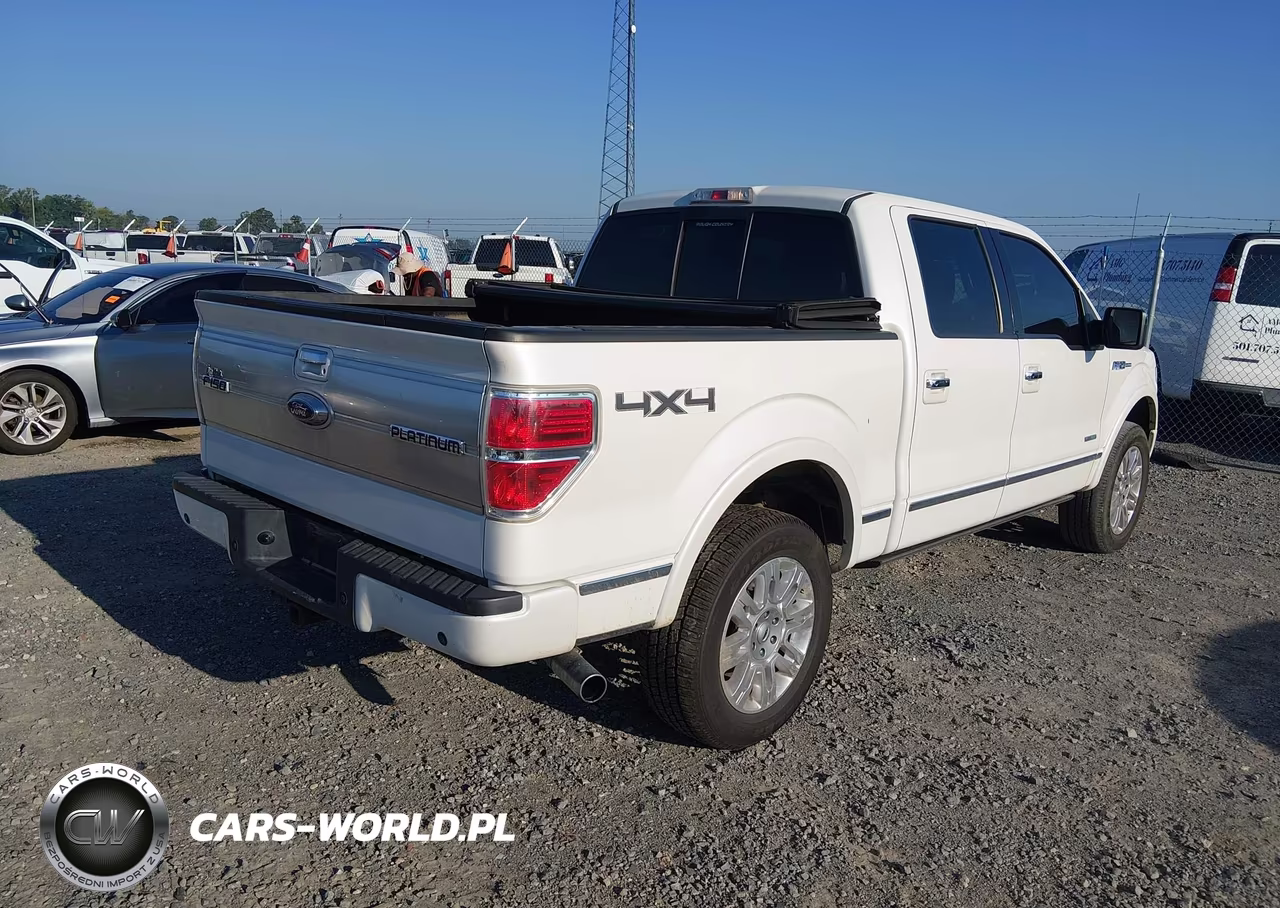 2013 Ford F-150 Platinum VIN:1FTFW1ET5DFA27148 - 4