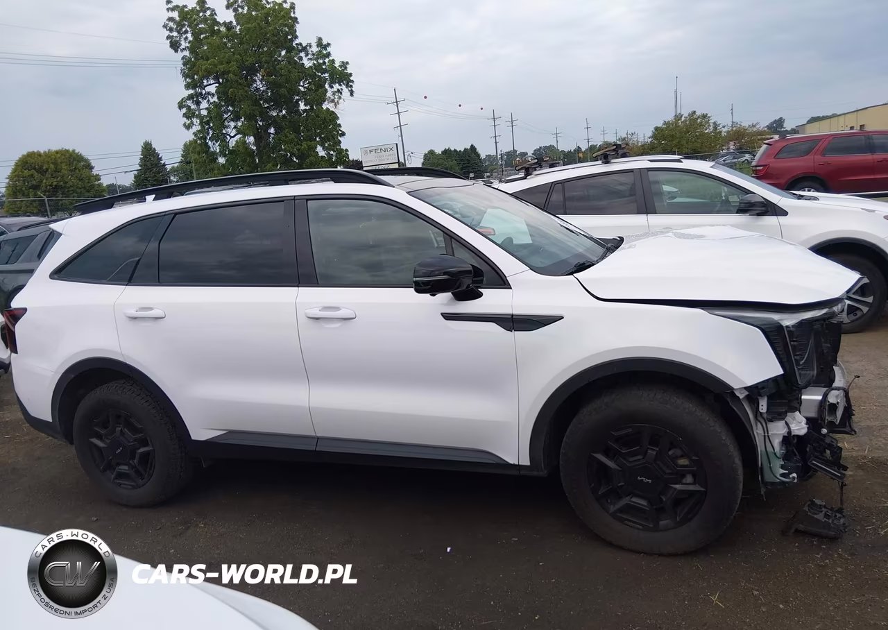 2024 Kia Sorento X-Pro Sx Prestige VIN:5XYRKDJF7RG253934 - 13