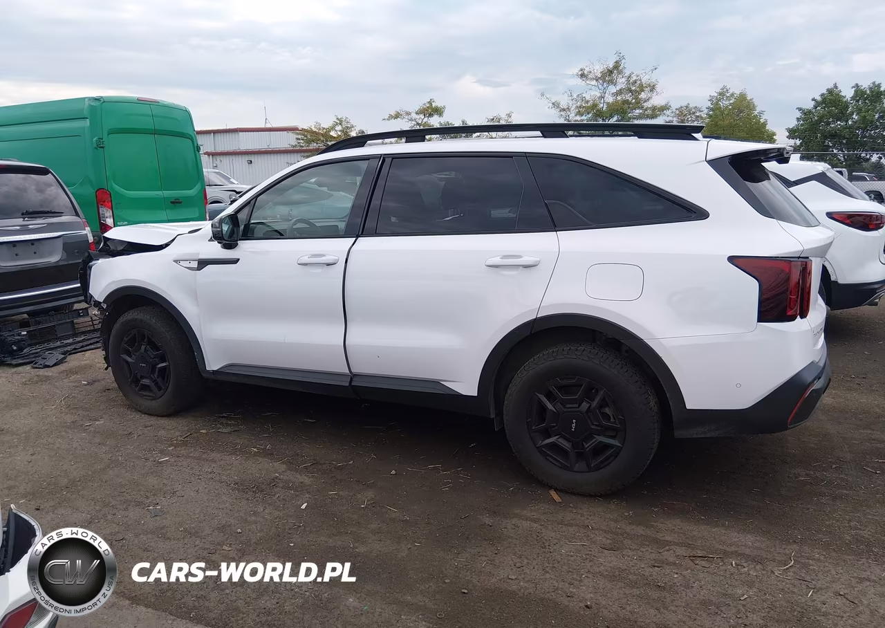 2024 Kia Sorento X-Pro Sx Prestige VIN:5XYRKDJF7RG253934 - 14