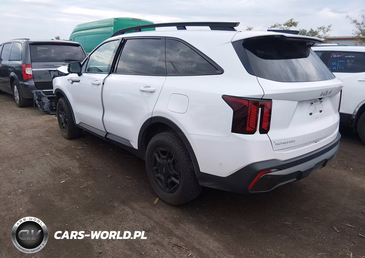 2024 Kia Sorento X-Pro Sx Prestige VIN:5XYRKDJF7RG253934 - 3