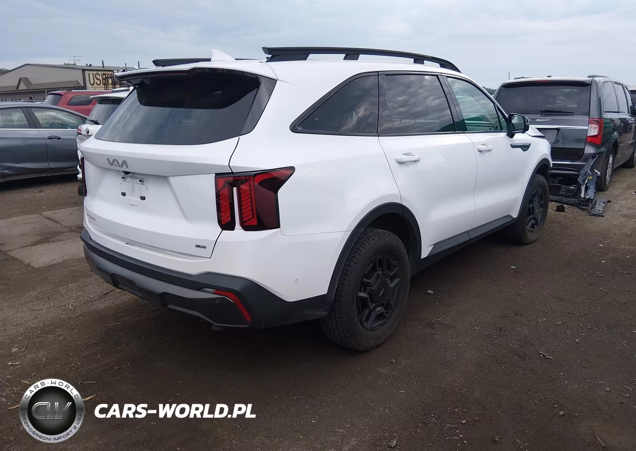 2024 Kia Sorento X-Pro Sx Prestige VIN:5XYRKDJF7RG253934 - 4