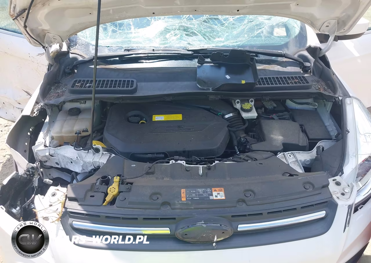 2015 Ford Escape Se VIN:1FMCU0GX6FUC56290 - 10