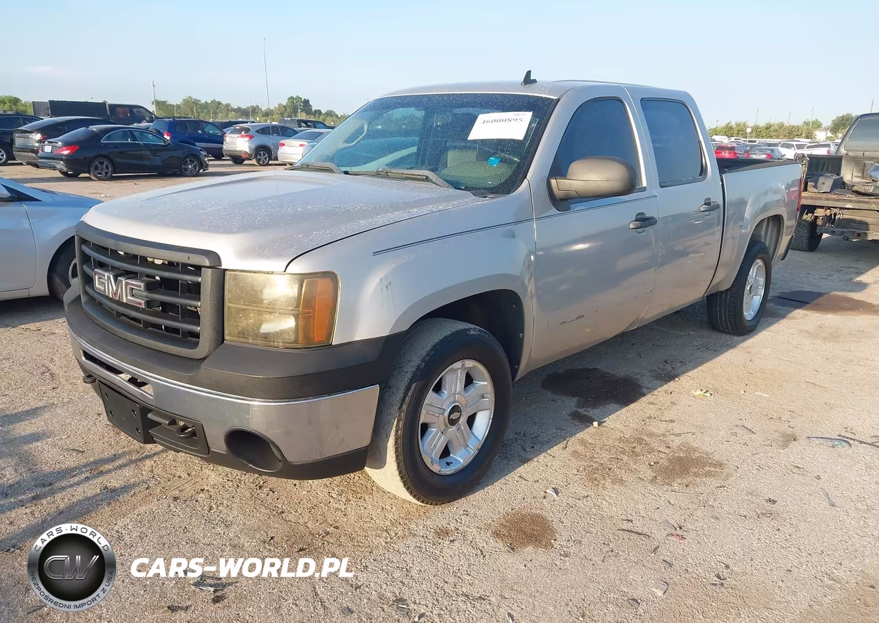 2009 GMC Sierra 1500 Work Truck VIN:3GTEC13C39G221383 - 2