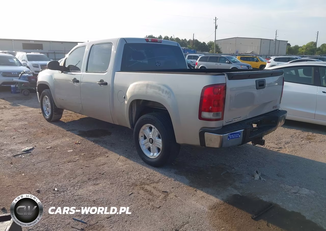 2009 GMC Sierra 1500 Work Truck VIN:3GTEC13C39G221383 - 3
