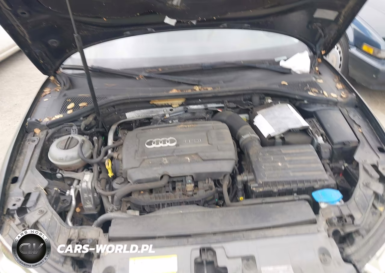 2015 Audi A3 1.8T Premium VIN:WAUACGFF2F1004101 - 10