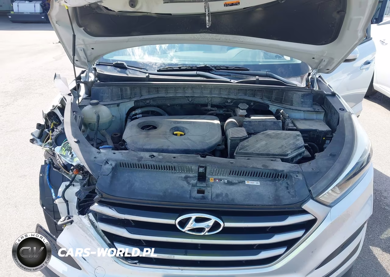 2017 Hyundai Tucson Se VIN:KM8J23A43HU514829 - 10