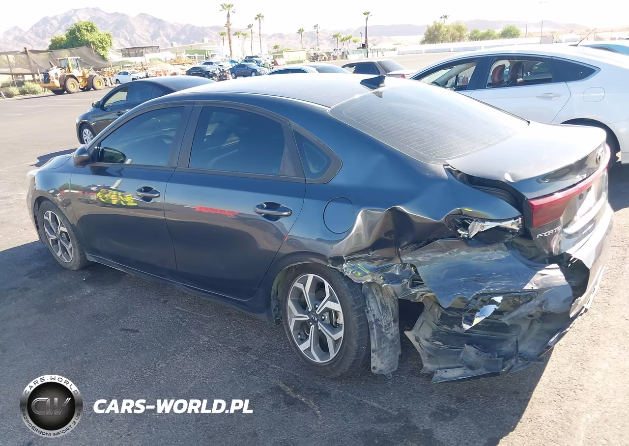 2021 Kia Forte Lxs VIN:3KPF24AD1ME305081 - 17