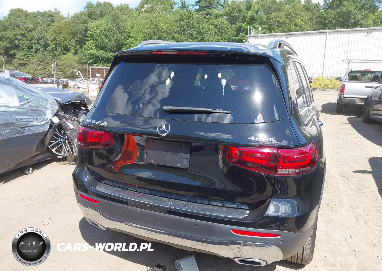 2023 Mercedes-Benz Glb 250 4Matic VIN:W1N4M4HB0PW273345 - 17
