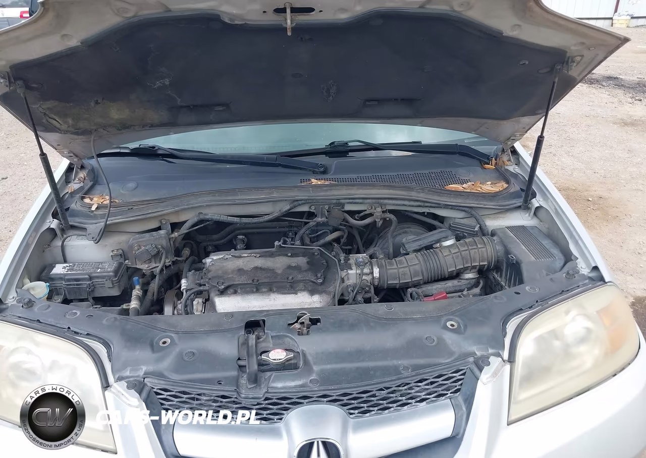 2004 Acura Mdx VIN:2HNYD18694H505715 - 10
