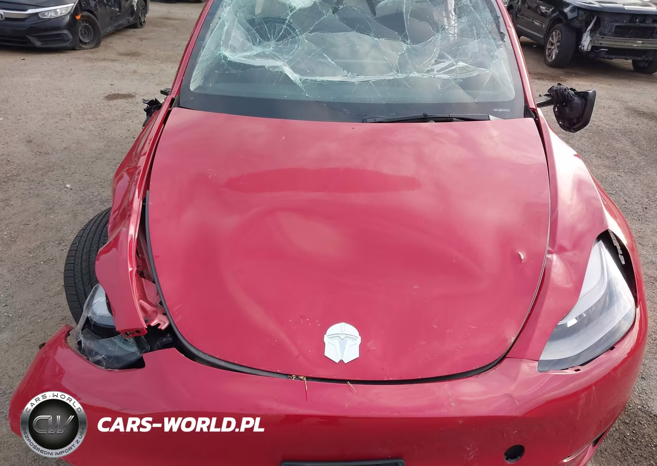 2023 Tesla Model Y Performance Dual Motor All-Wheel Drive VIN:7SAYGDEF4PF895137 - 10