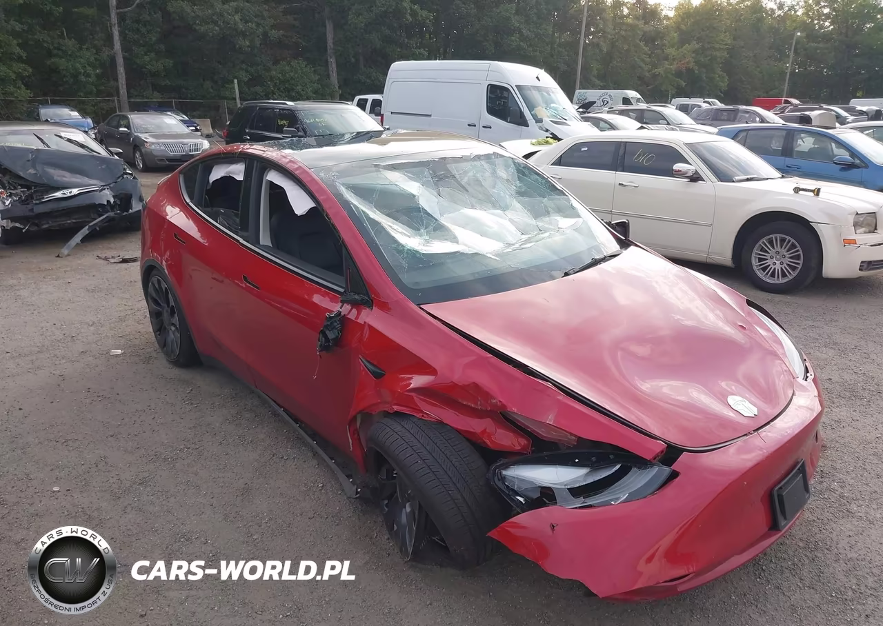 2023 Tesla Model Y Performance Dual Motor All-Wheel Drive VIN:7SAYGDEF4PF895137 - 6
