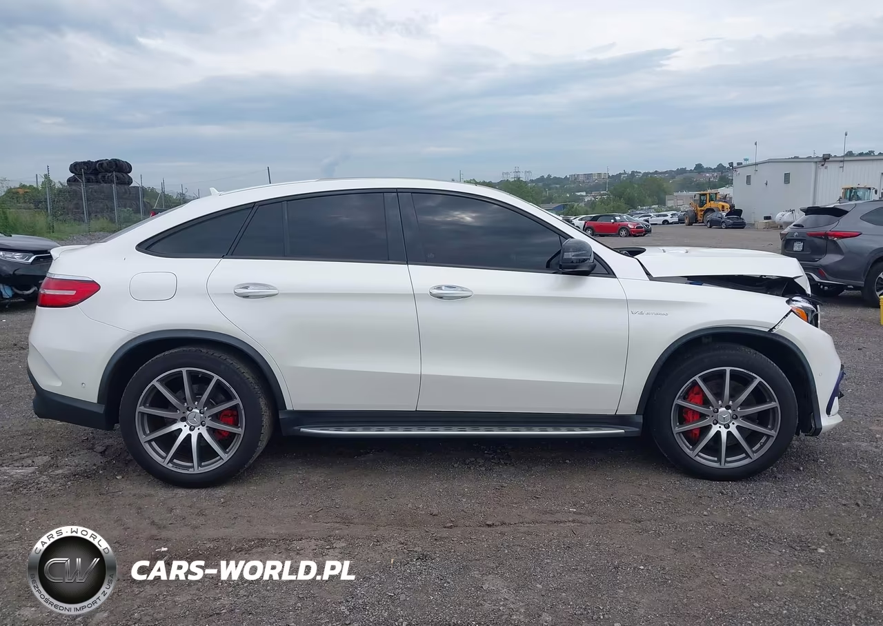 2019 Mercedes-Benz Amg Gle 63 Coupe S 4Matic VIN:4JGED7FBXKA147303 - 13