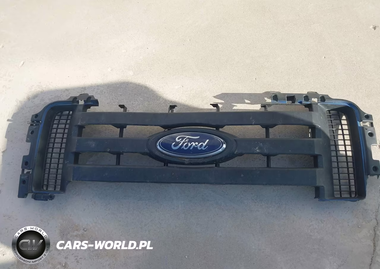 2009 Ford F-150 Stx-Xl-Xlt VIN:1FTRF12W19KB98229 - 12