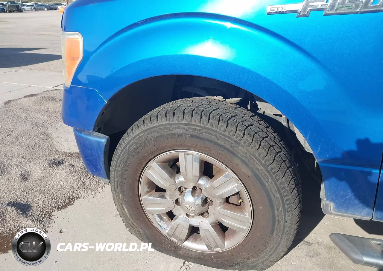2009 Ford F-150 Stx-Xl-Xlt VIN:1FTRF12W19KB98229 - 13