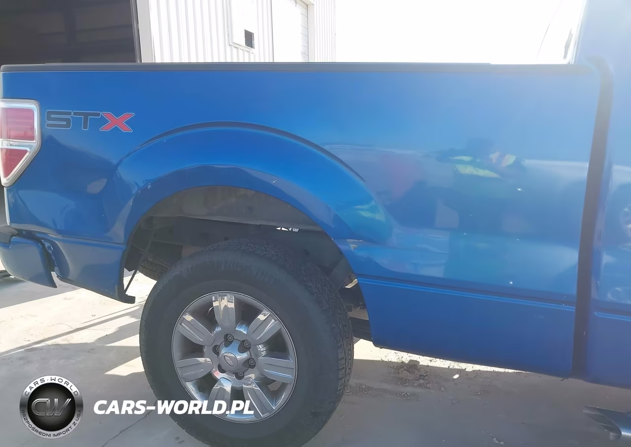2009 Ford F-150 Stx-Xl-Xlt VIN:1FTRF12W19KB98229 - 14