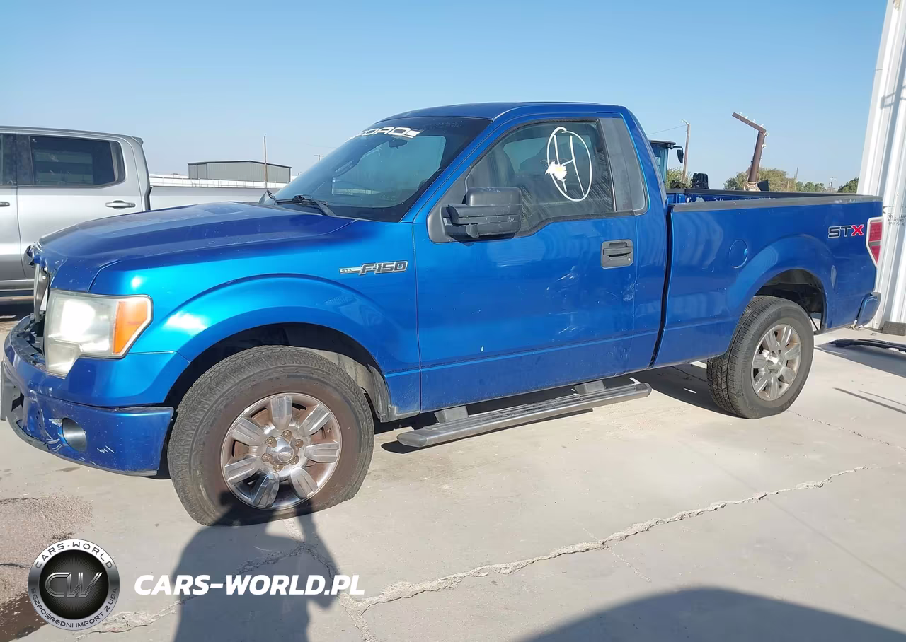 2009 Ford F-150 Stx-Xl-Xlt VIN:1FTRF12W19KB98229 - 2