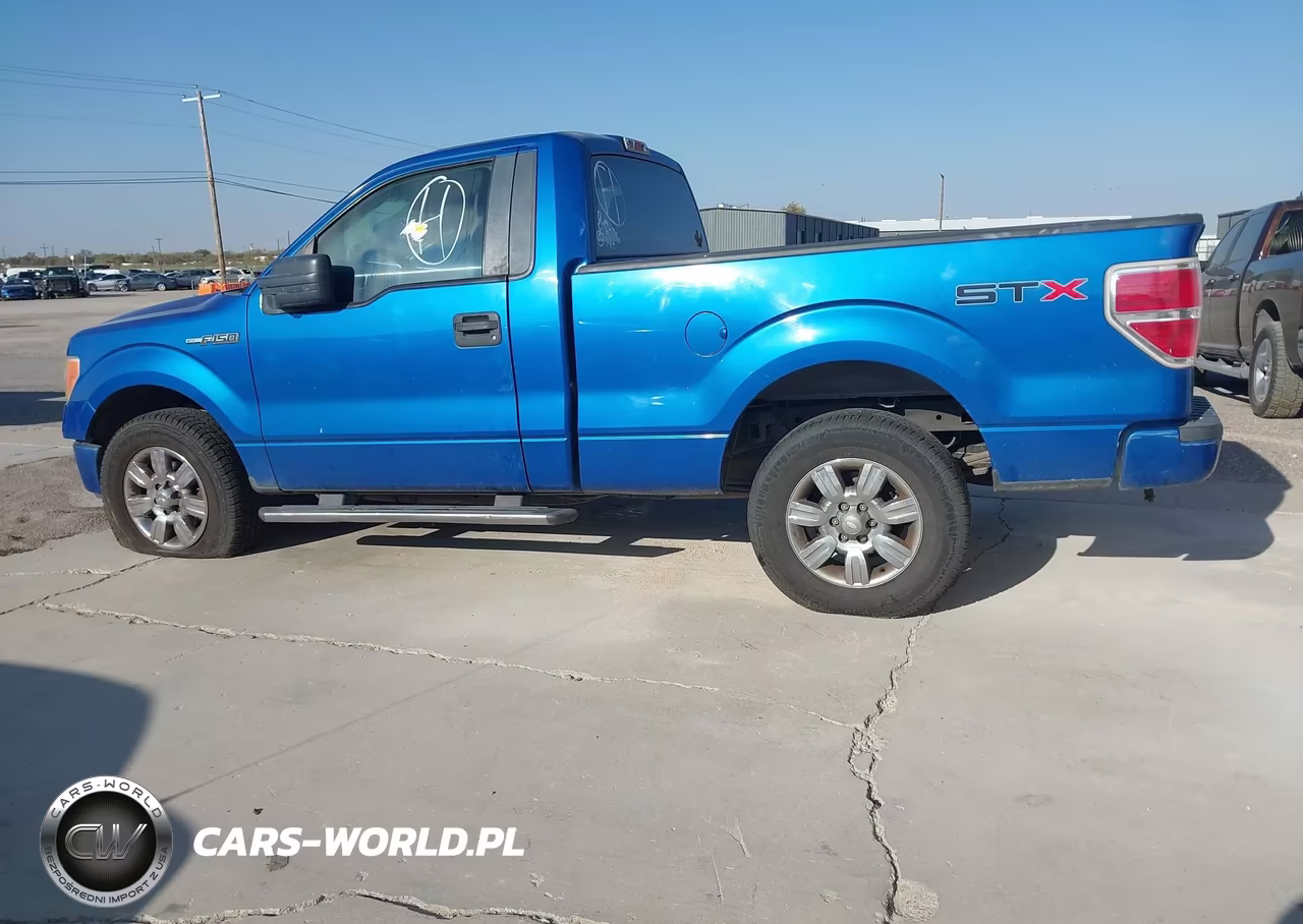 2009 Ford F-150 Stx-Xl-Xlt VIN:1FTRF12W19KB98229 - 3
