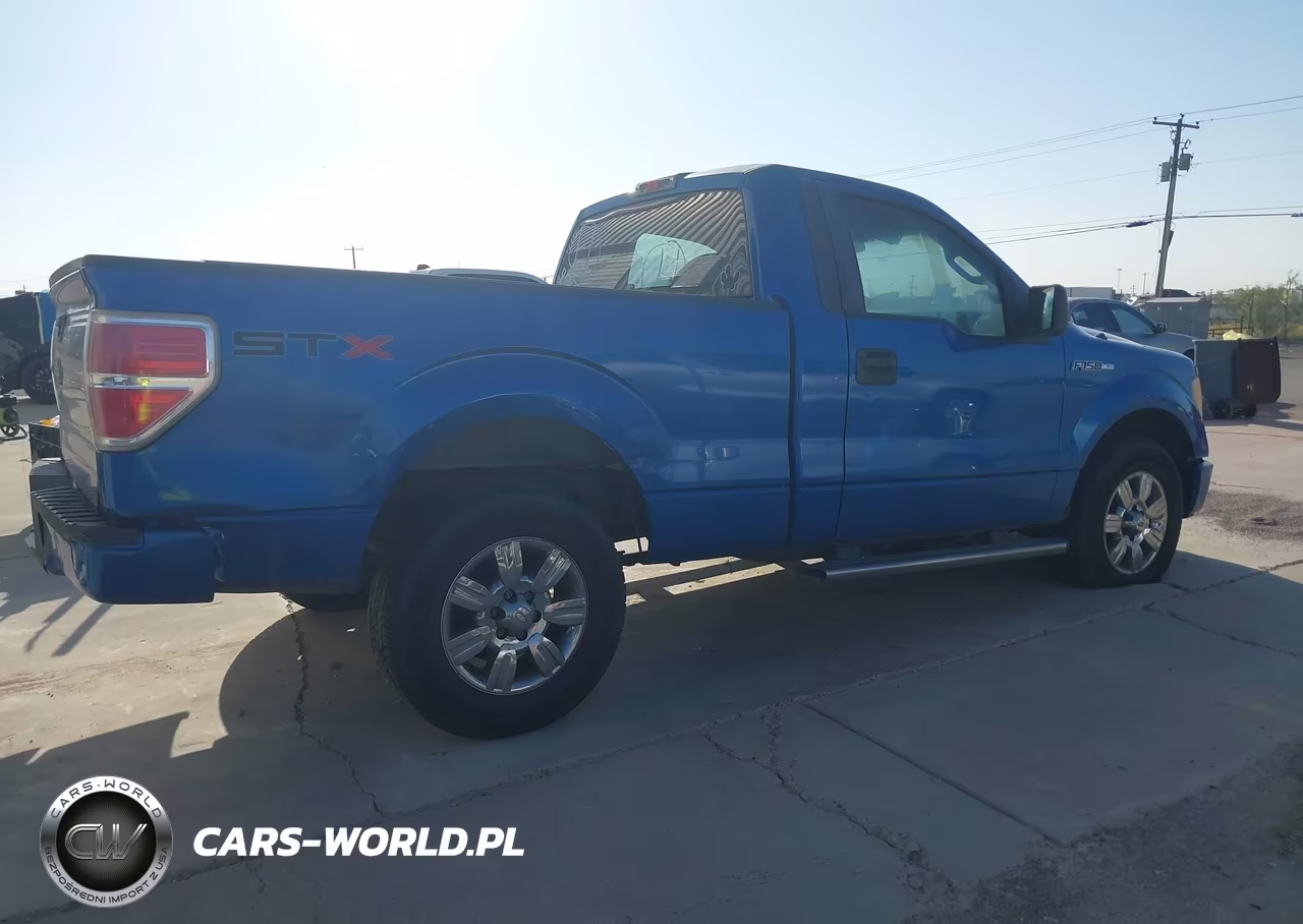 2009 Ford F-150 Stx-Xl-Xlt VIN:1FTRF12W19KB98229 - 4