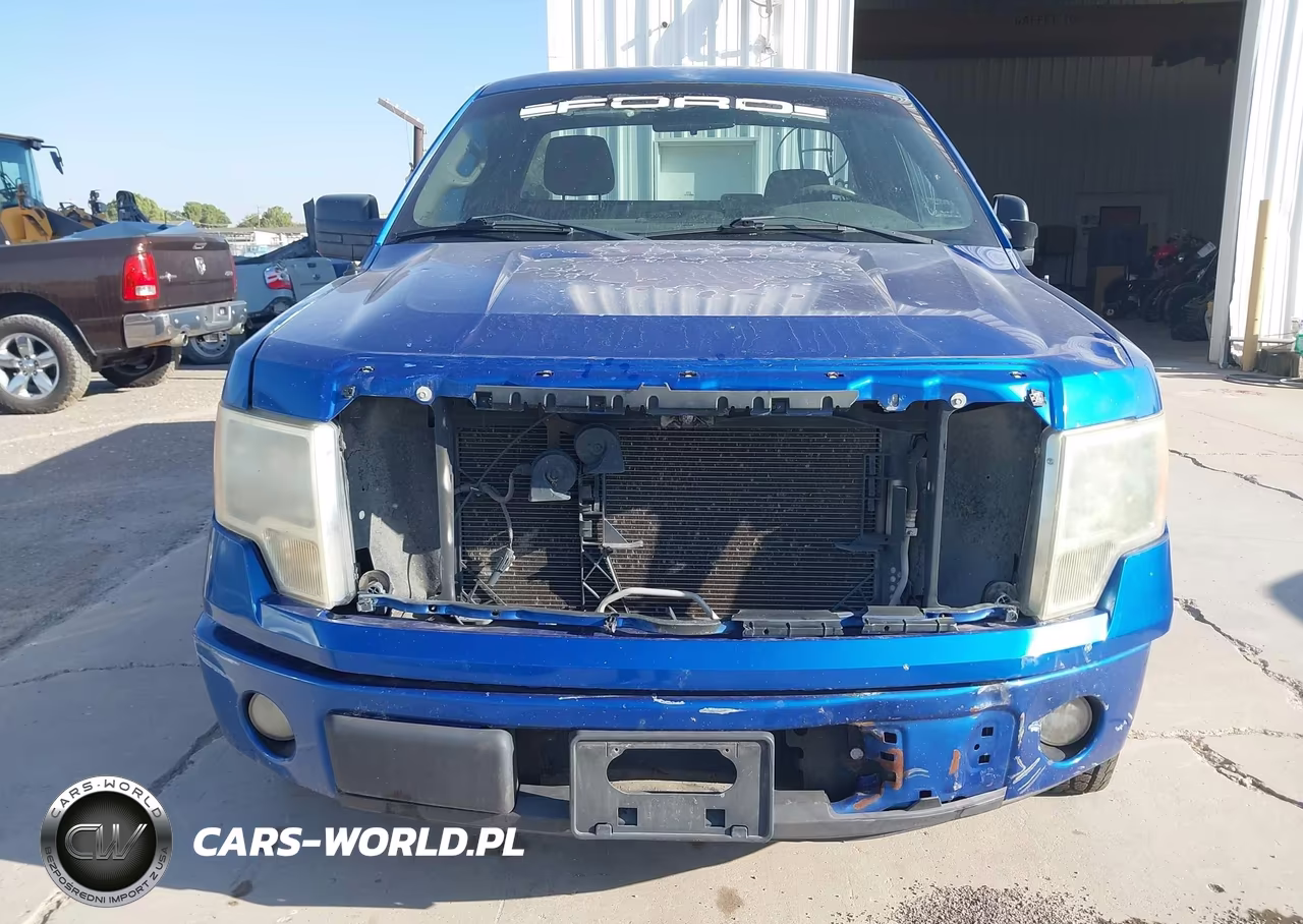 2009 Ford F-150 Stx-Xl-Xlt VIN:1FTRF12W19KB98229 - 6