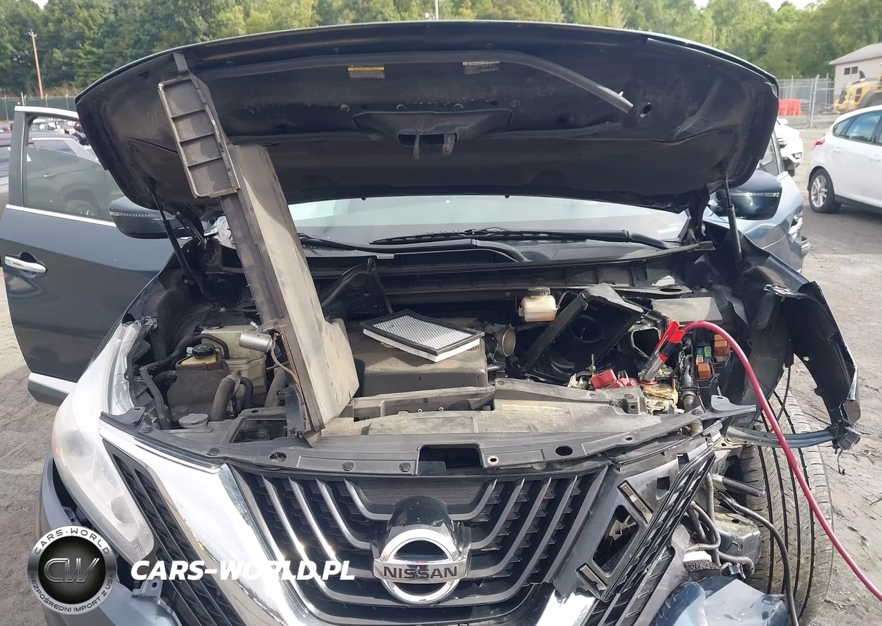 2016 Nissan Murano Sv VIN:5N1AZ2MH1GN117990 - 10
