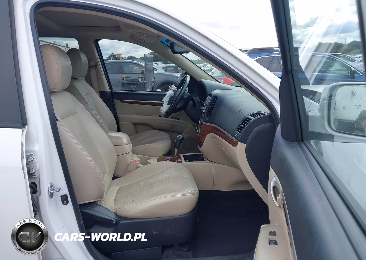 2008 Hyundai Santa Fe Limited-Se VIN:5NMSH13E68H164539 - 5