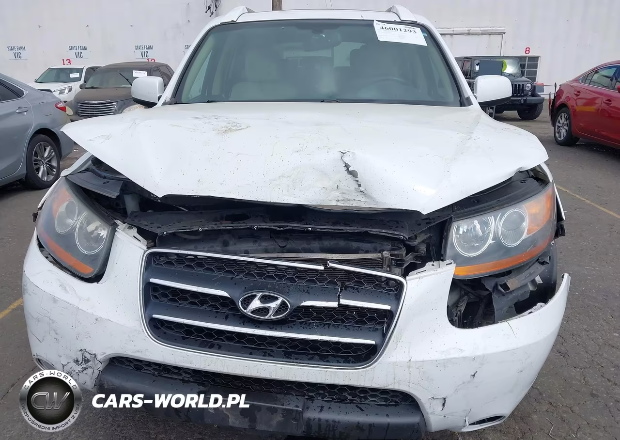 2008 Hyundai Santa Fe Limited-Se VIN:5NMSH13E68H164539 - 6