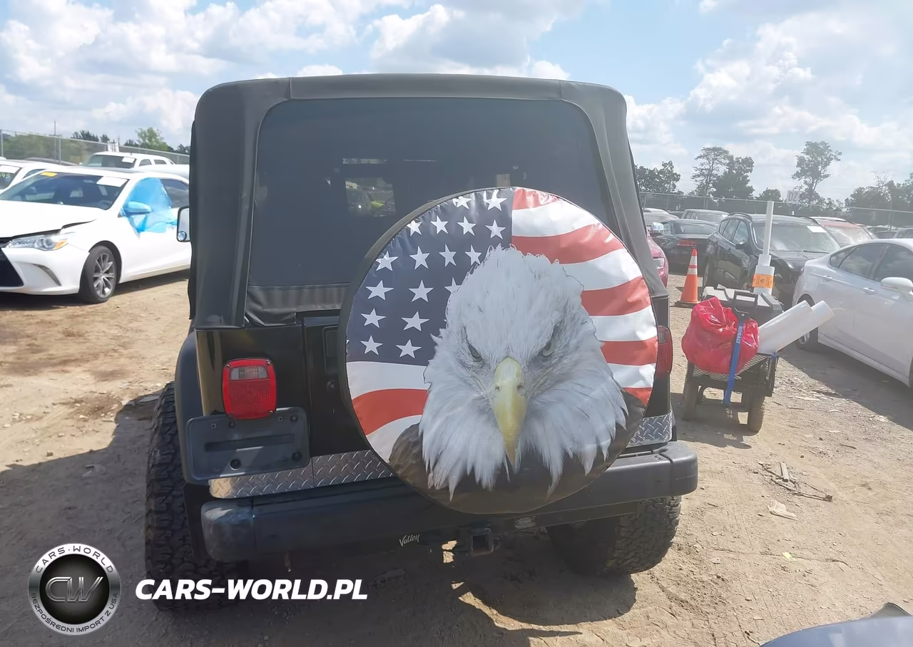 2002 Jeep Wrangler X VIN:1J4FA39S92P759957 - 17