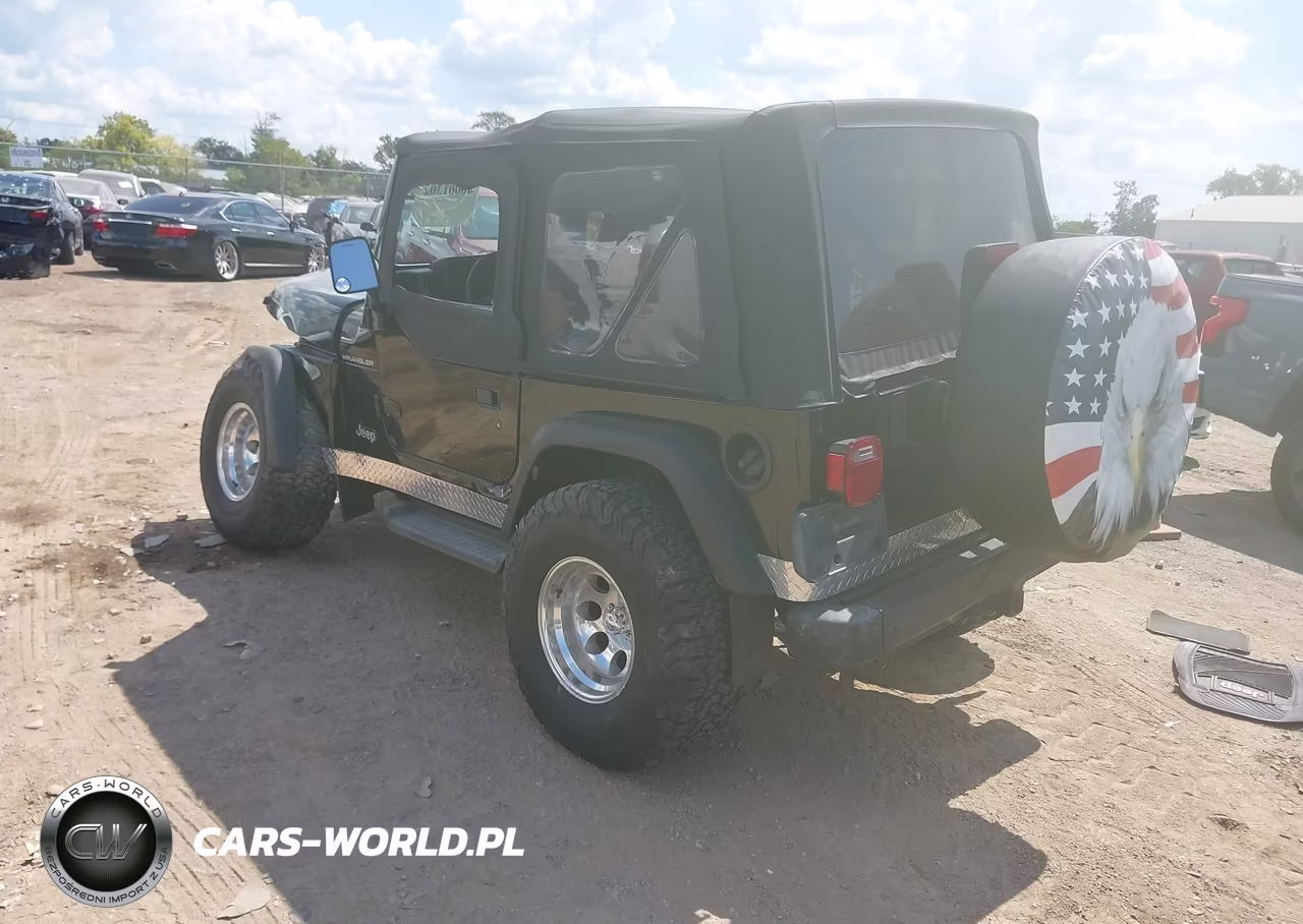 2002 Jeep Wrangler X VIN:1J4FA39S92P759957 - 3